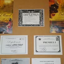 Rezultate Remarcabile